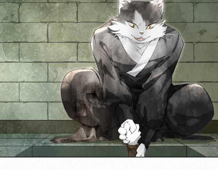 第28话 有“猫腻”的柴房51