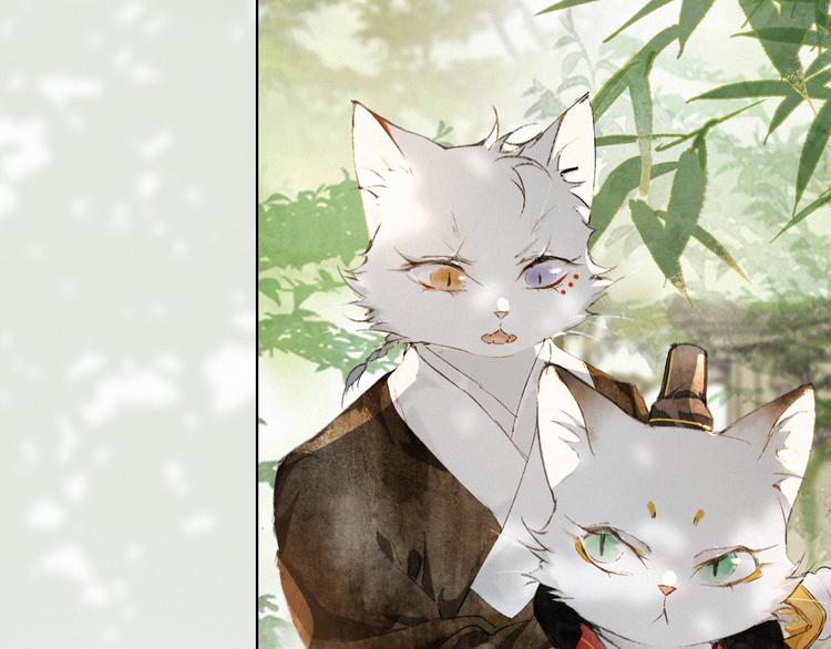 第28话 有“猫腻”的柴房7