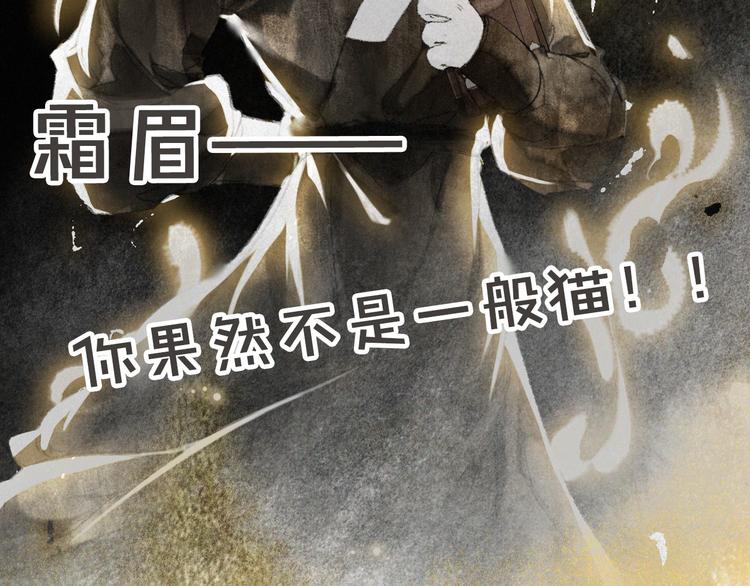 第28话 有“猫腻”的柴房78