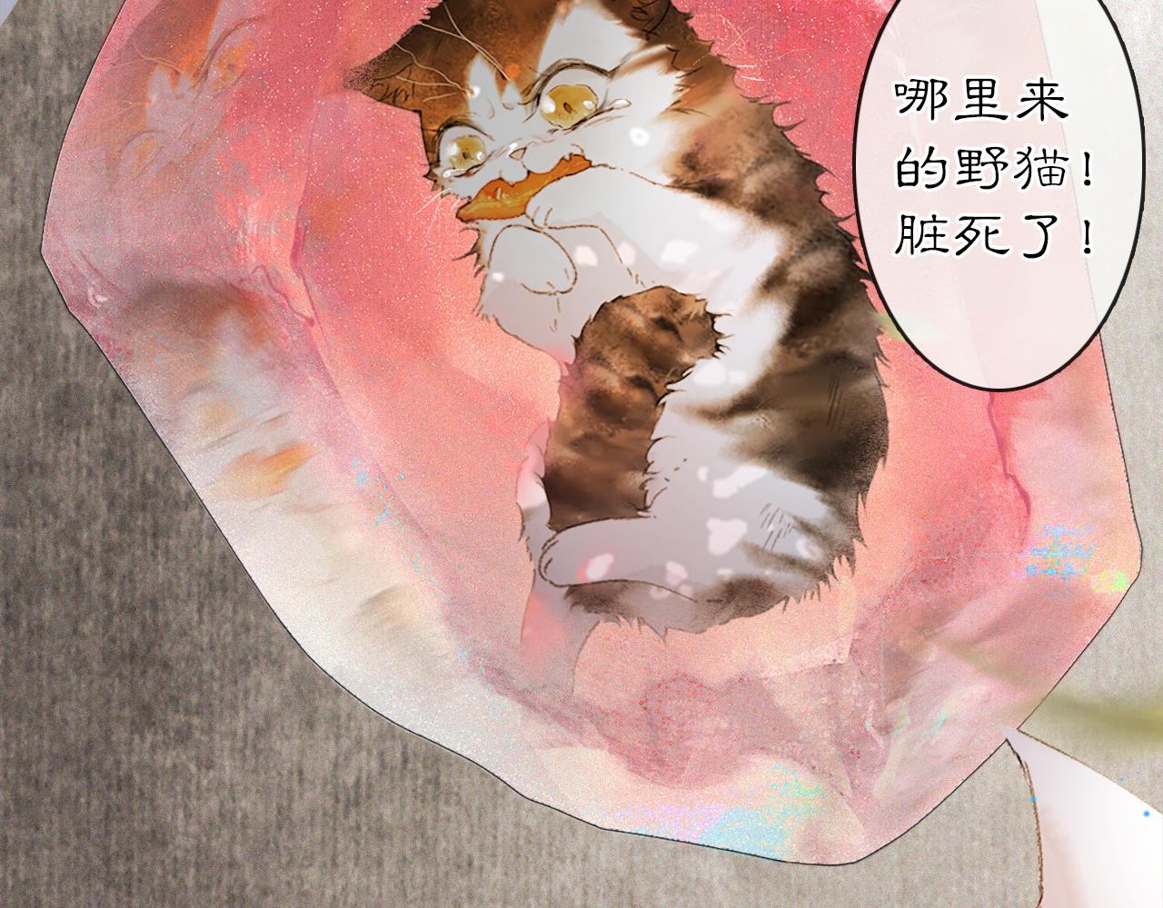 第12话 猫猫心事37