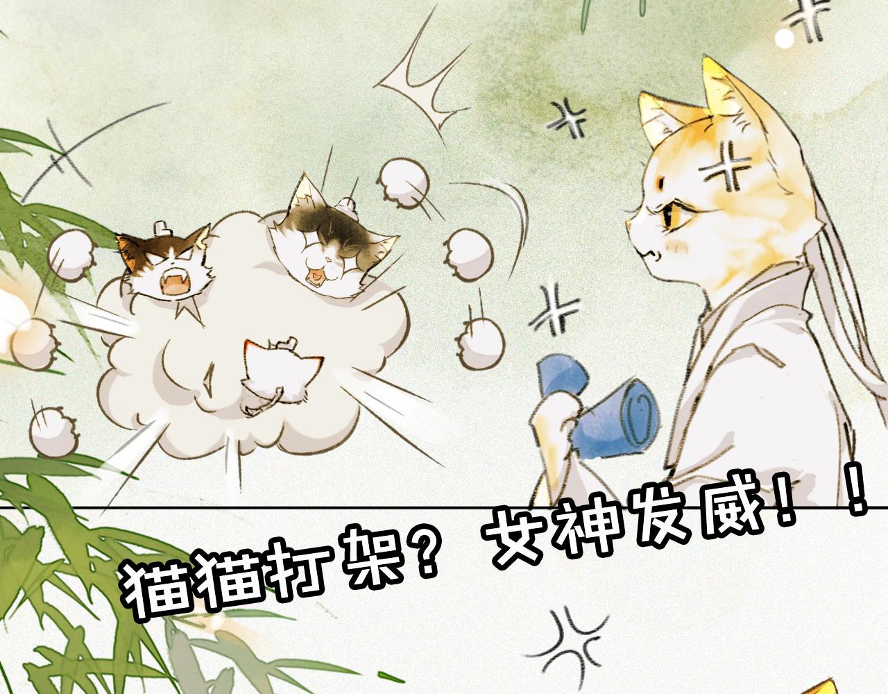 第25话 肆意妄为隐身猫47
