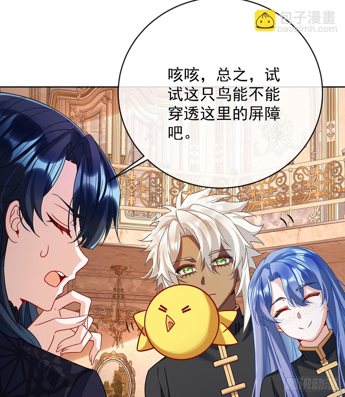 色鸟！33