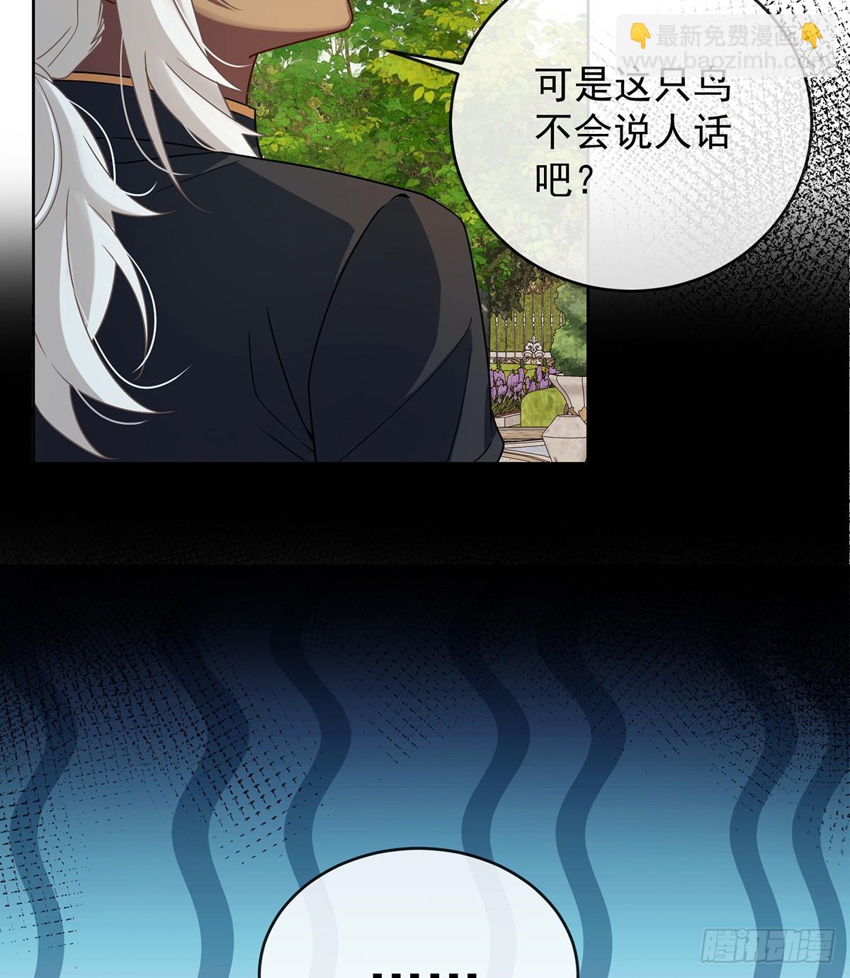 色鸟！41