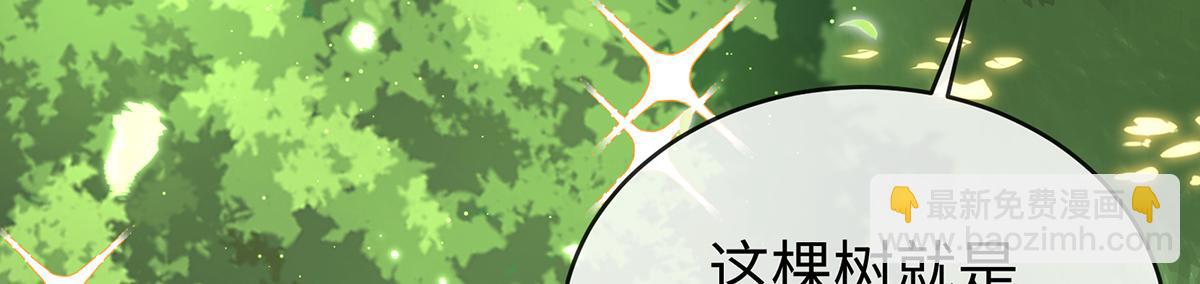 第88话 灵魂之花11