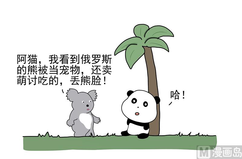 卖萌为生的熊0