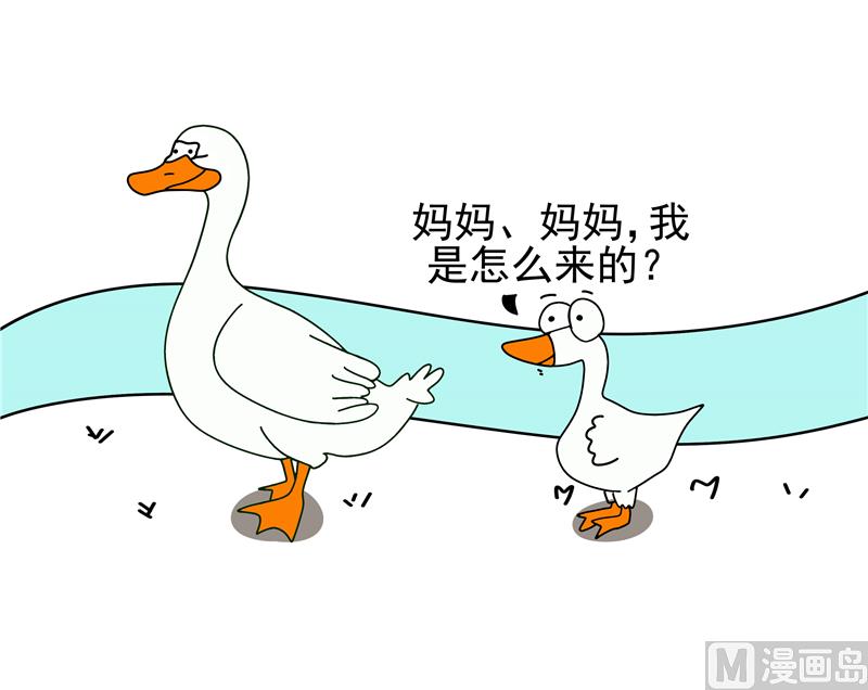 我是怎么来的0