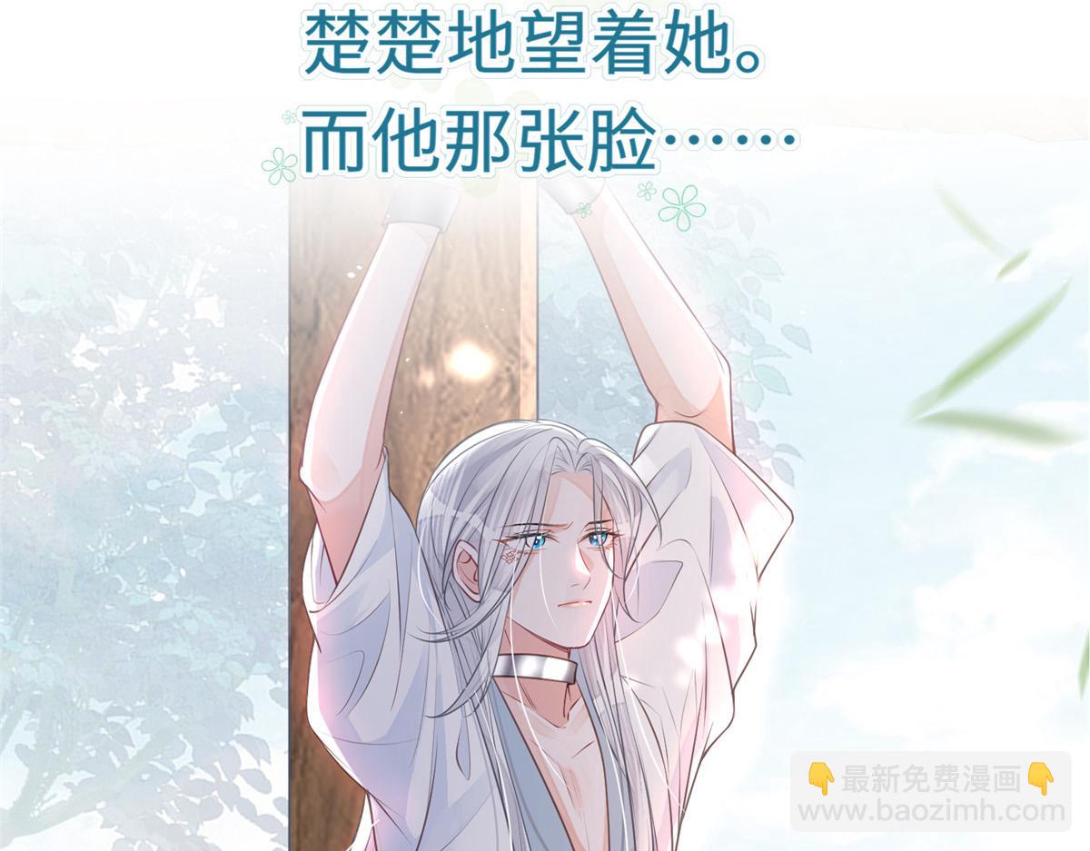 预告7