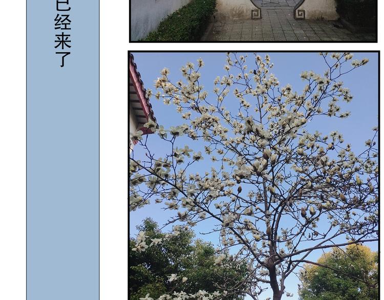 第79回 被爱的感觉80
