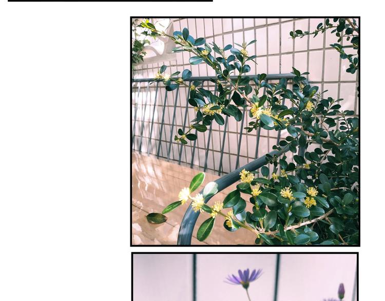 第79回 被爱的感觉82