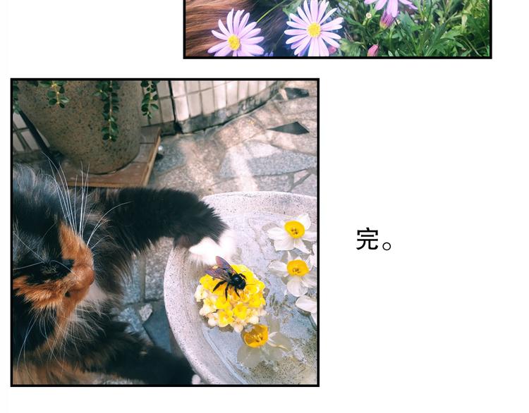 第79回 被爱的感觉85