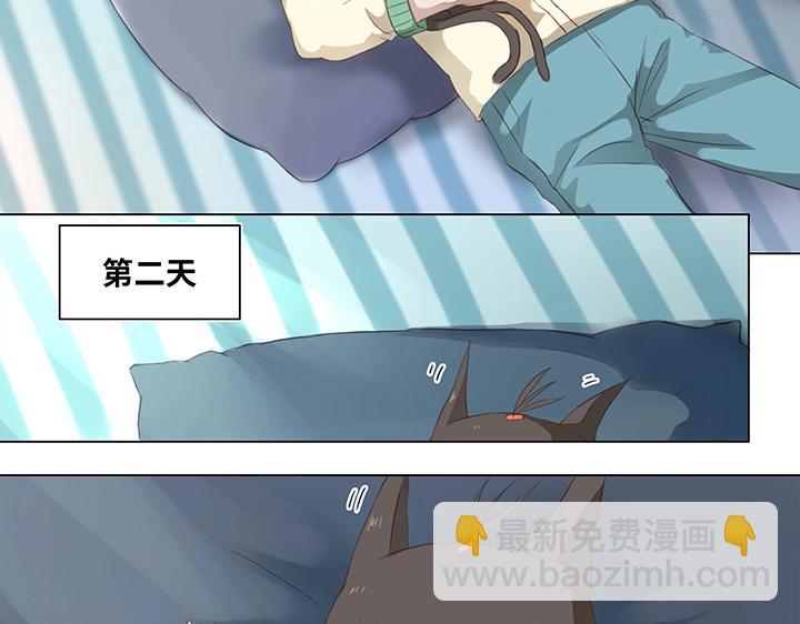 14 喵回来啦~17