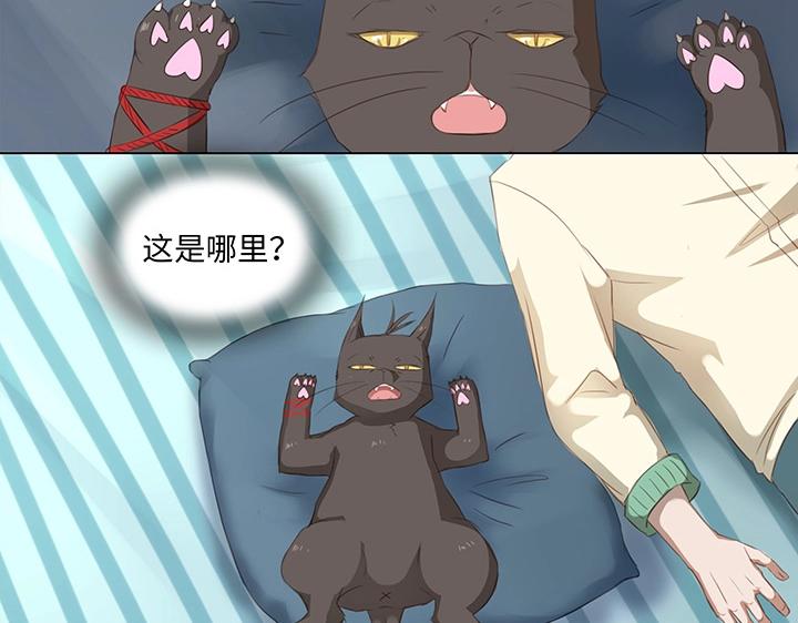 14 喵回来啦~18