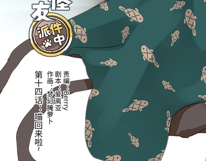 14 喵回来啦~2