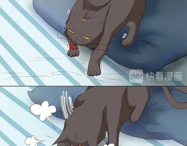 14 喵回来啦~22