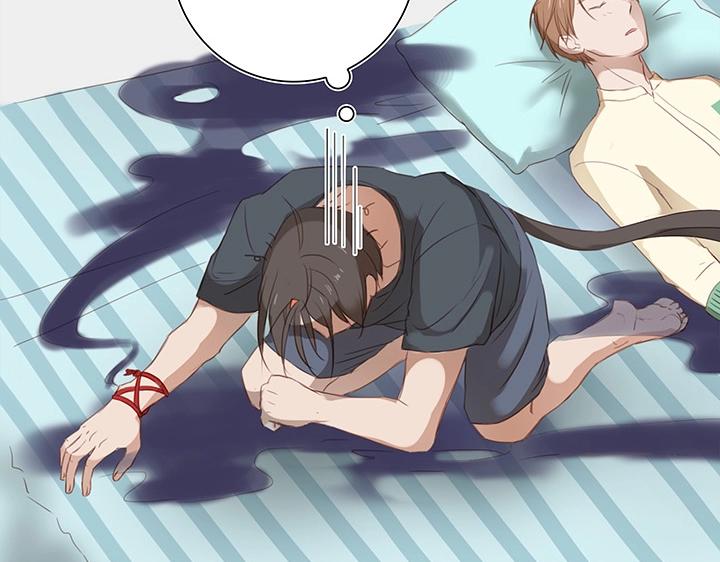 14 喵回来啦~25