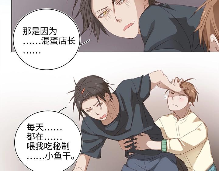 14 喵回来啦~30