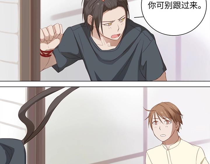 14 喵回来啦~33
