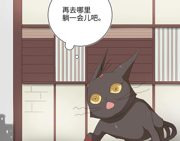 14 喵回来啦~38