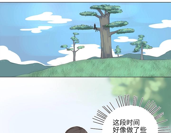 14 喵回来啦~41