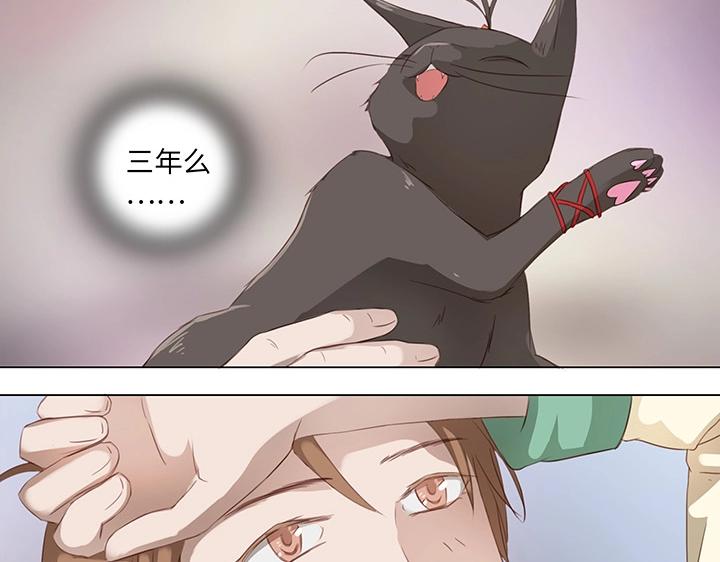 14 喵回来啦~5