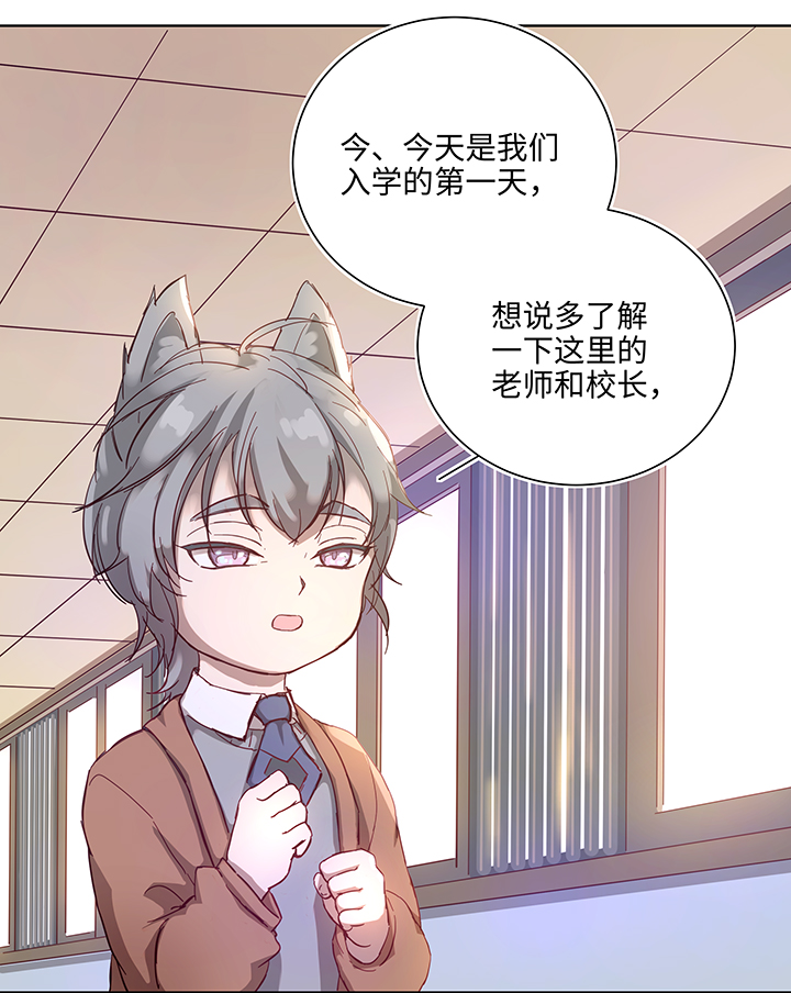 番外③ 泠珝与异色瞳狮子猫（上）3