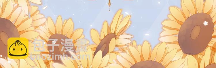 《DOLO命运胶囊》画集来啦~12