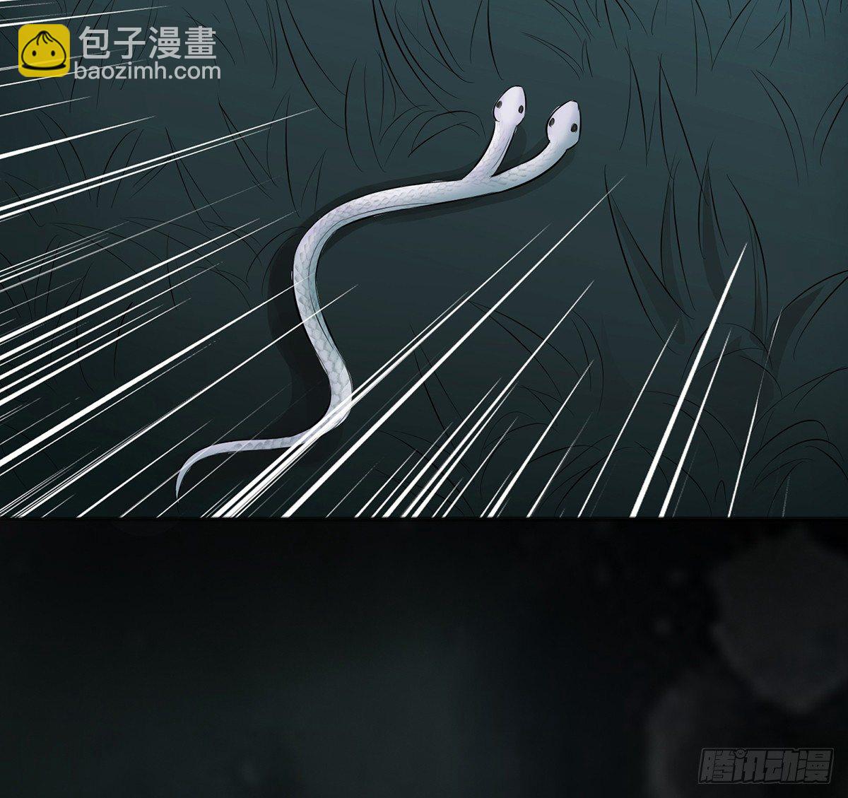 路遇双头蟒7