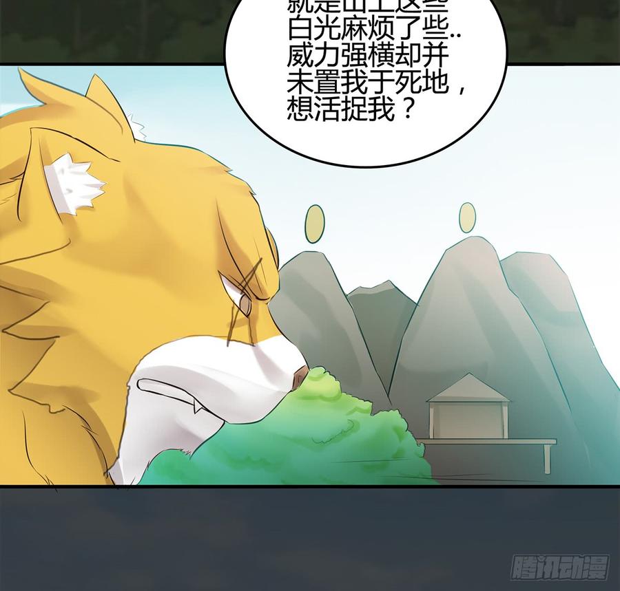 破阵！鬼瞳虎的覆劫眼5