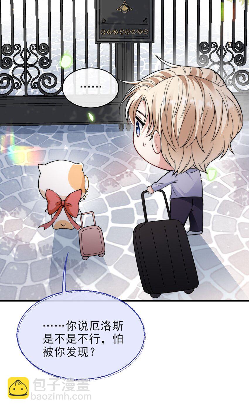 006 大婚10