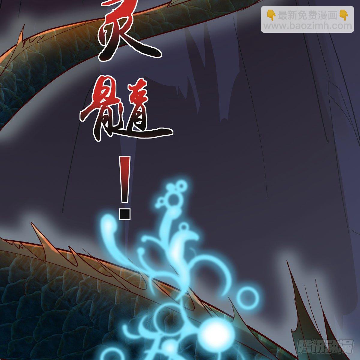 地海灵髓65