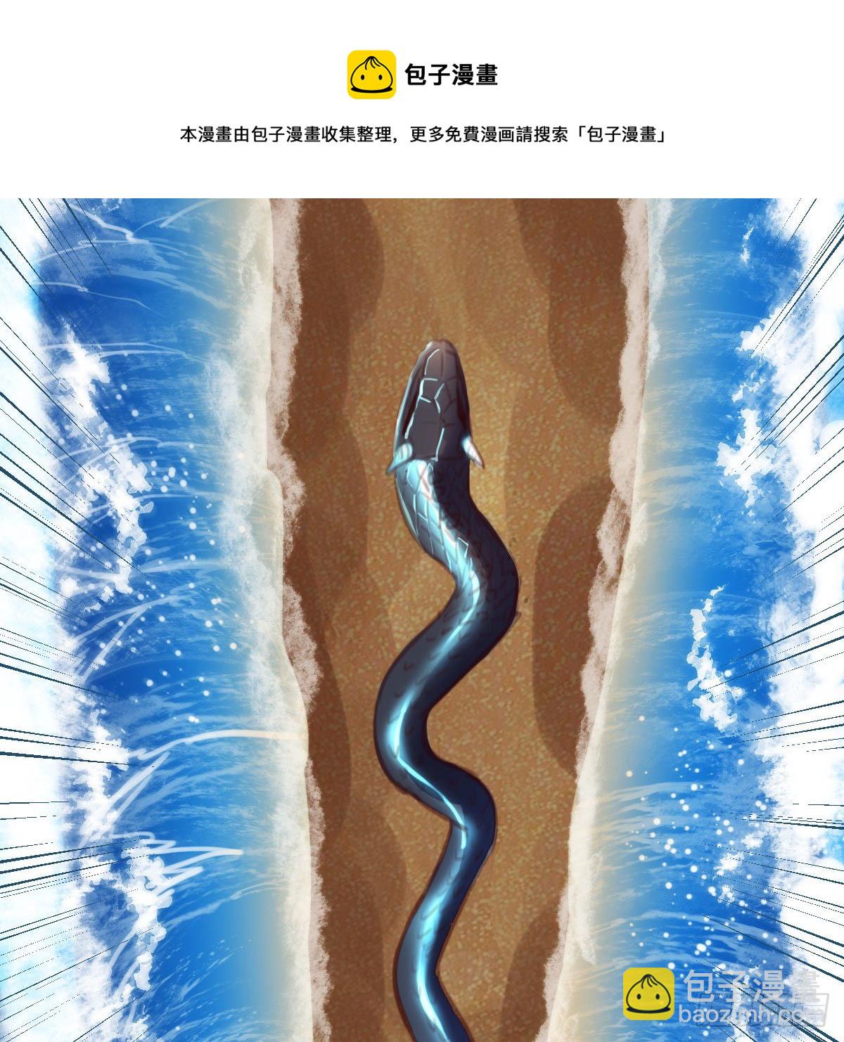 老规矩40