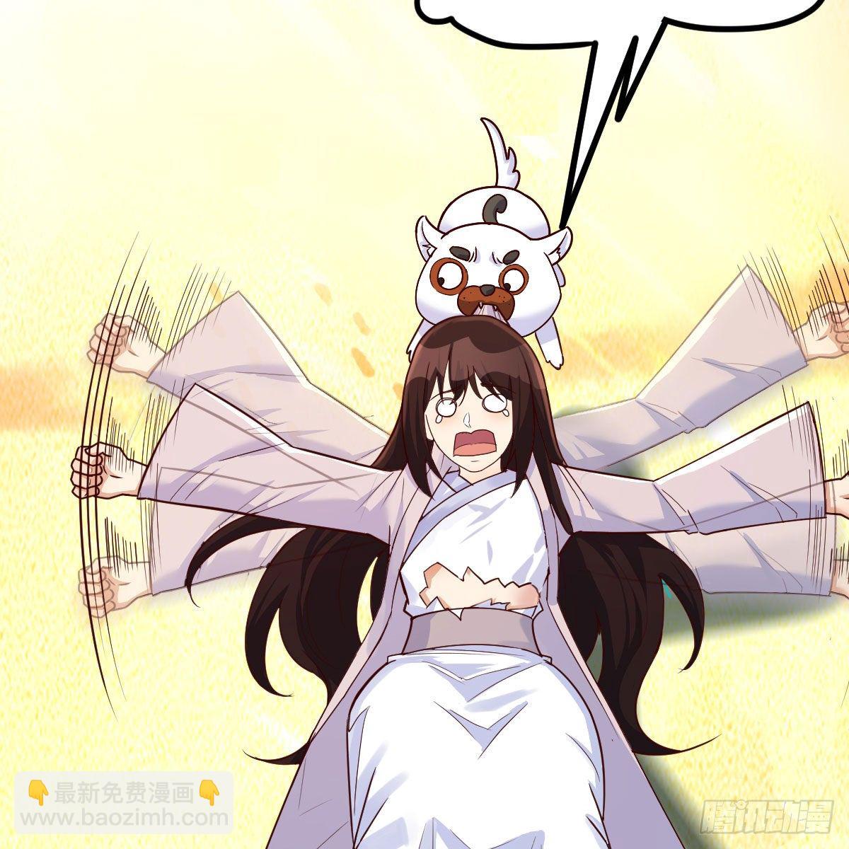 老规矩5