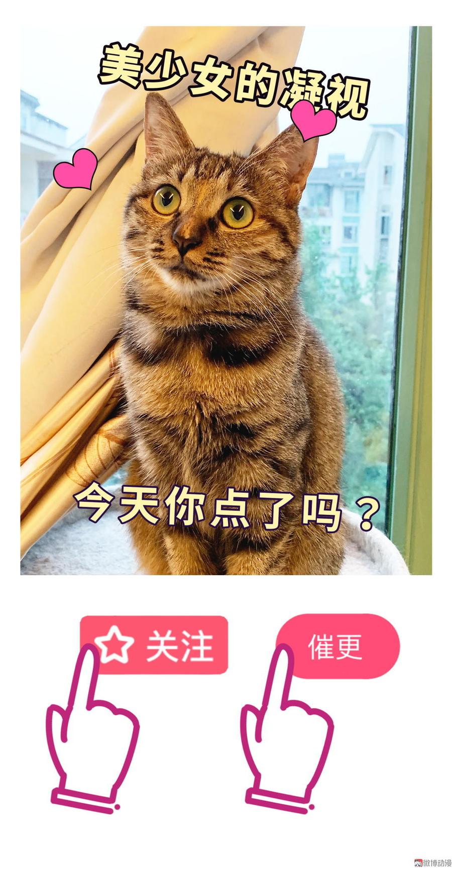第52话 你会选择卓天翼吗？70