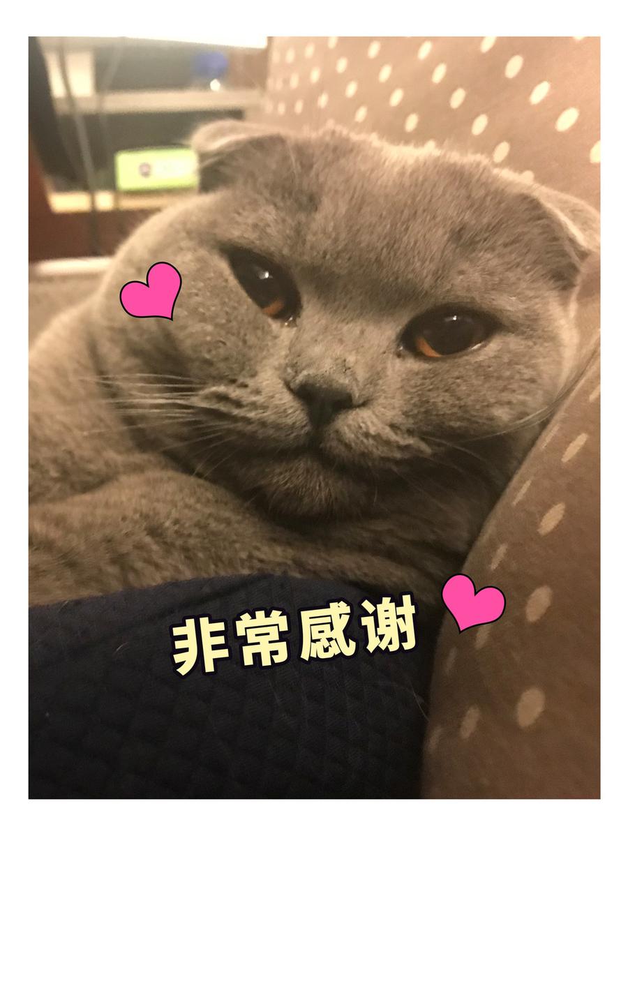第78话 栾羽从没有你这个父亲92