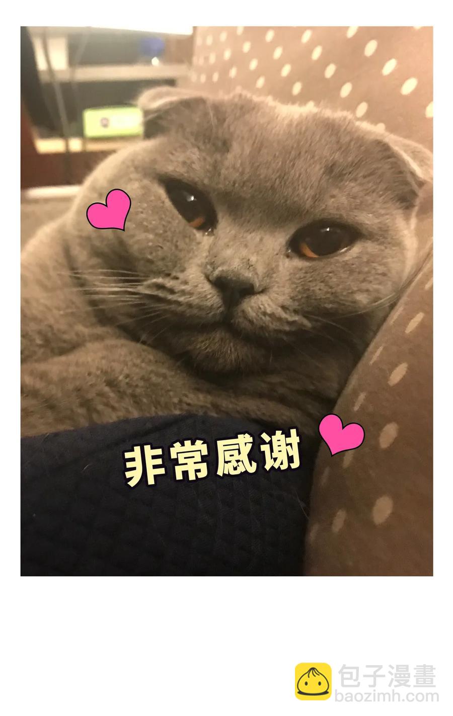 第93话 我和你成为搭档43