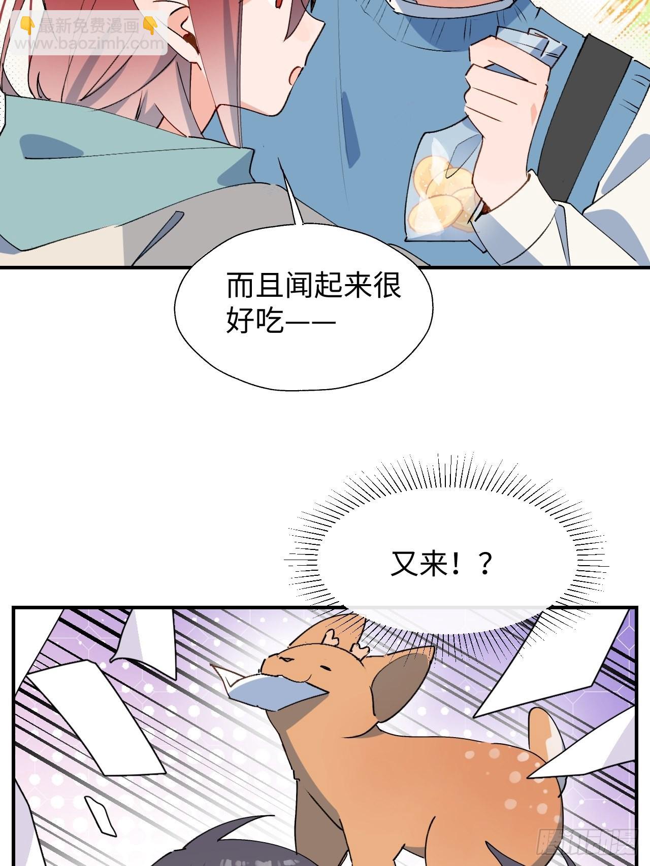 41大事不妙！41
