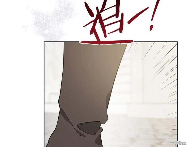 第175话246