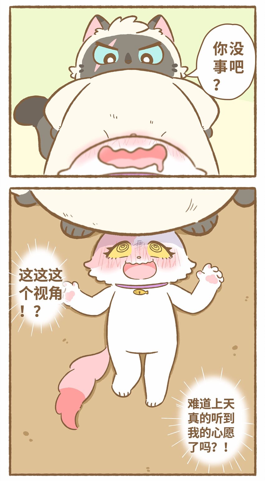 45 第45话 摔跤12