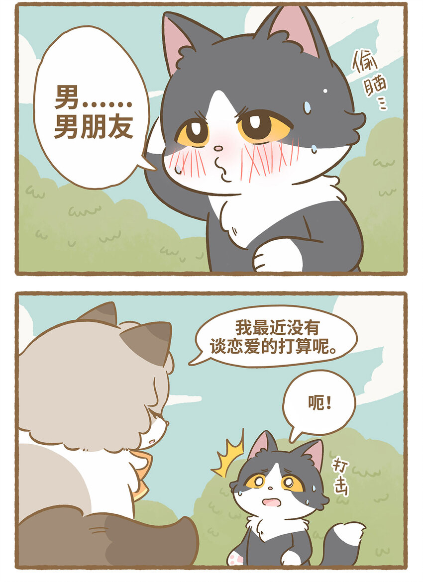 69 第69话 喜欢的猫？4