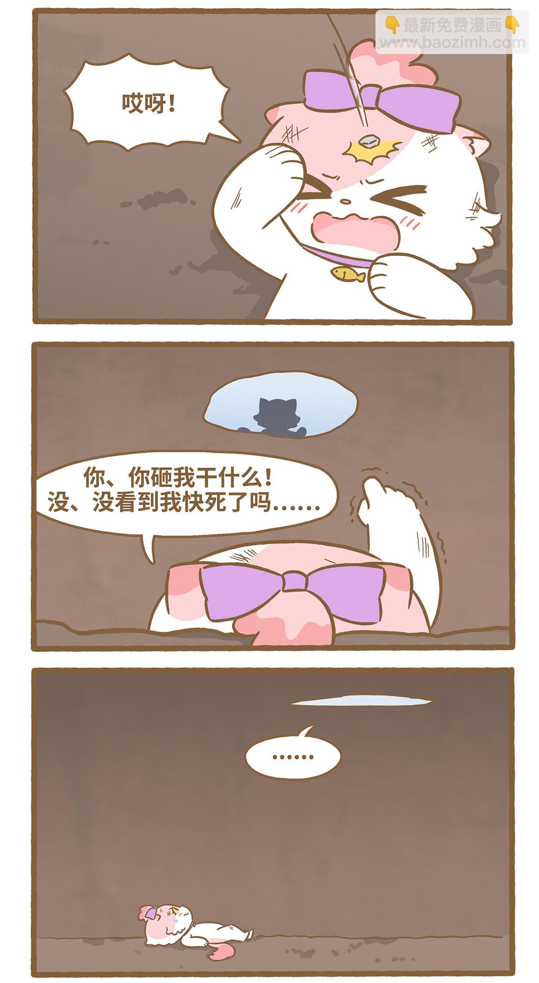 111 洞里洞外2