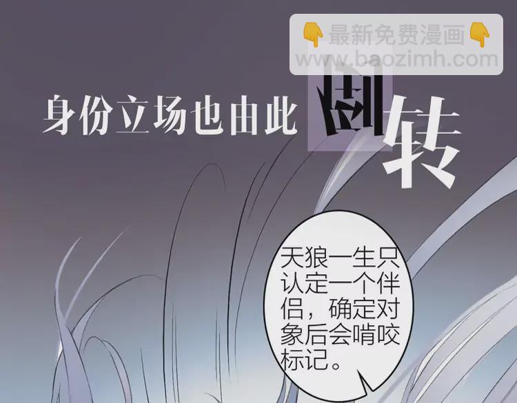 新作《将军，小心恶犬！》29