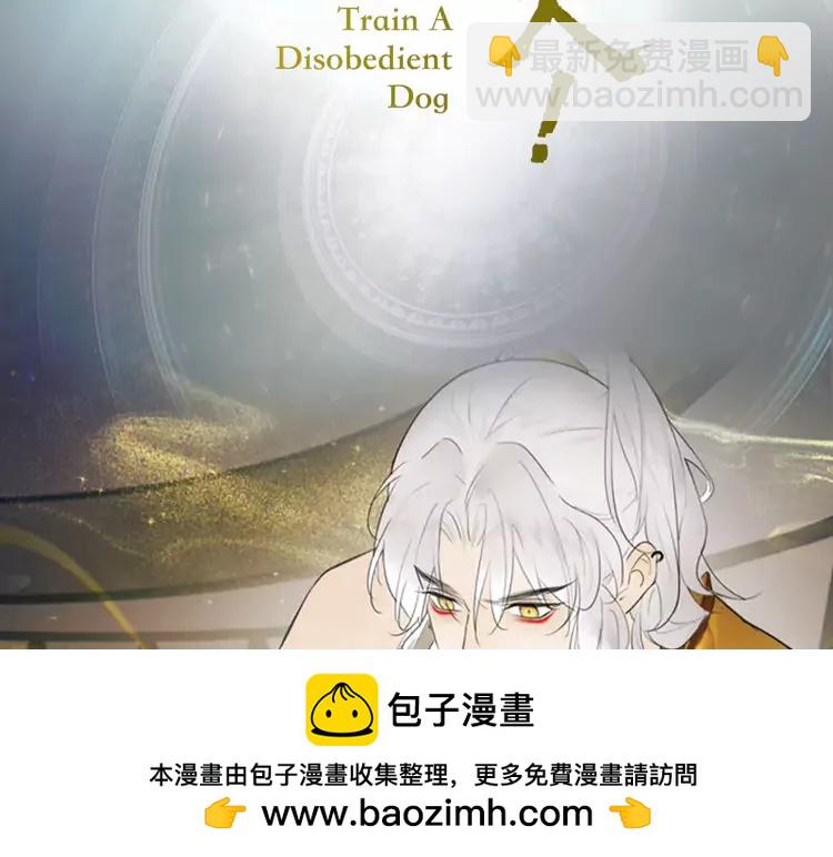 新作《将军，小心恶犬！》53