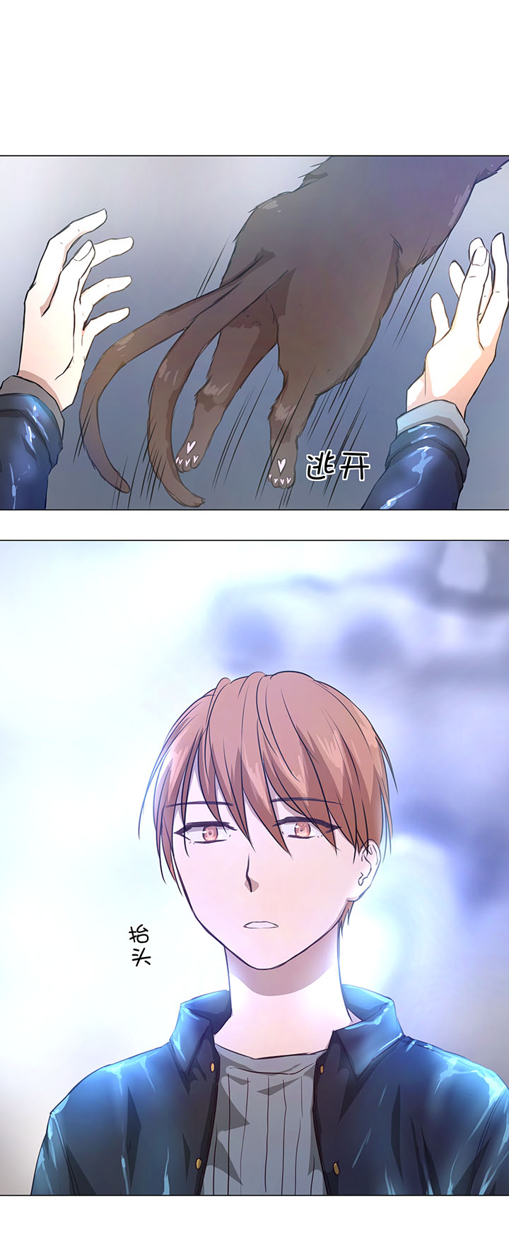 72 一场梦20
