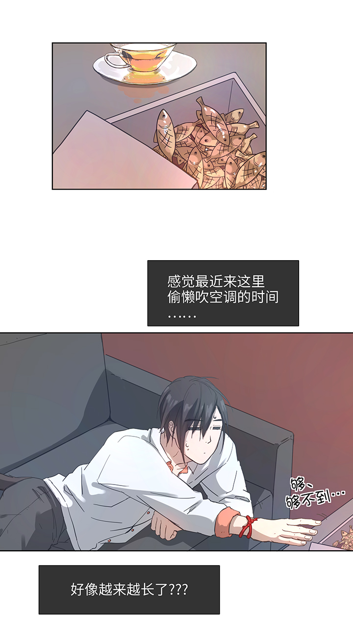 100 茶水和鱼干4