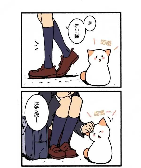 第01回0