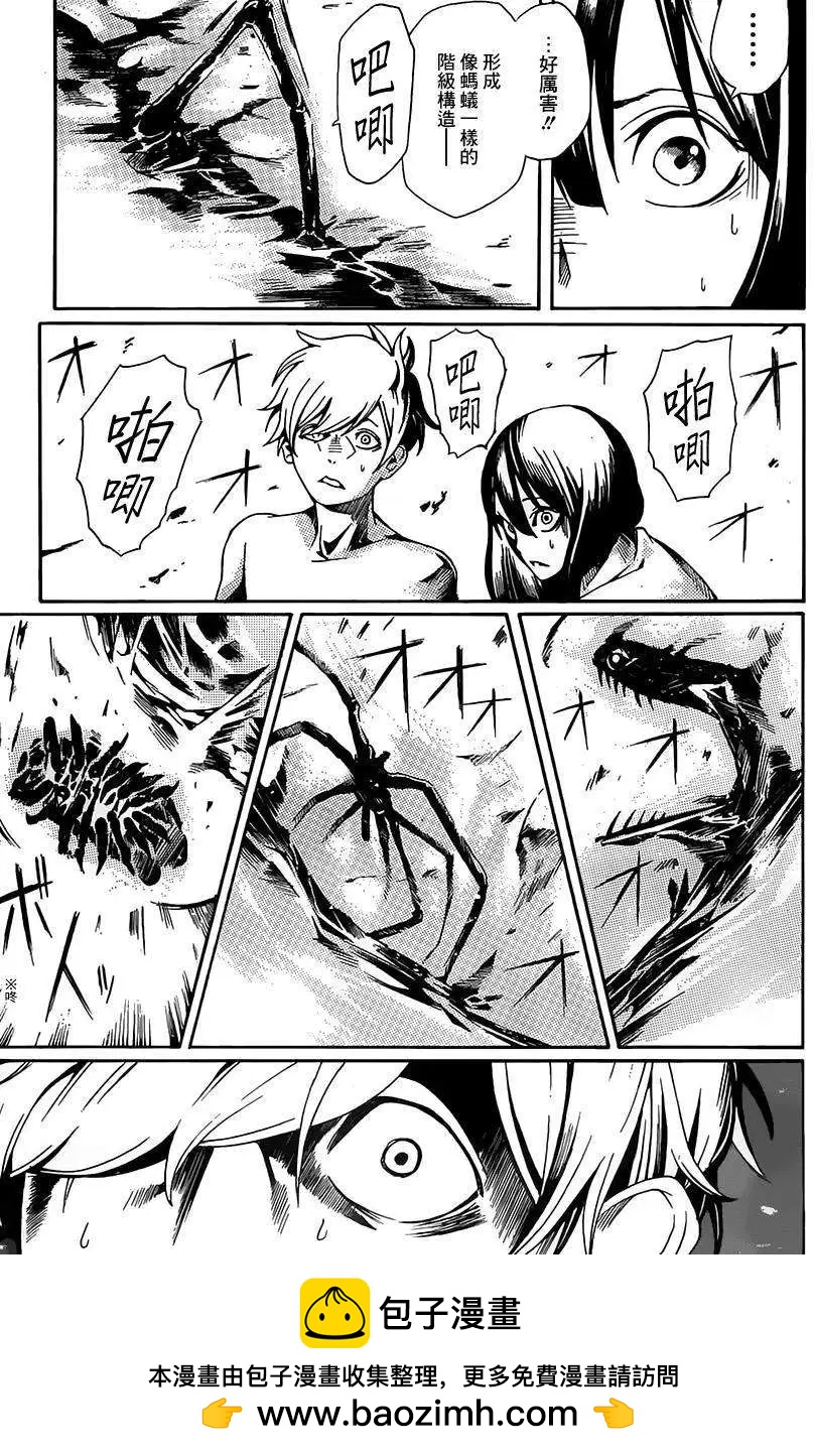 全一回49