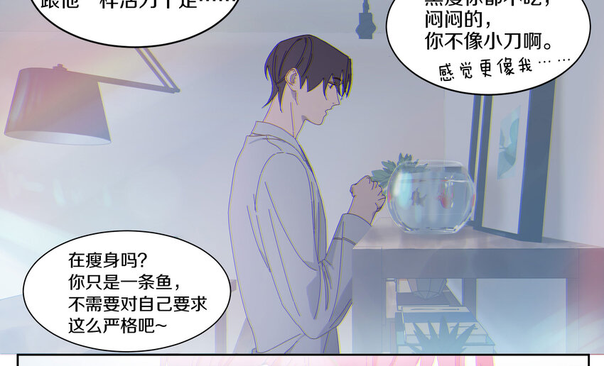 009 橙肥黑瘦40