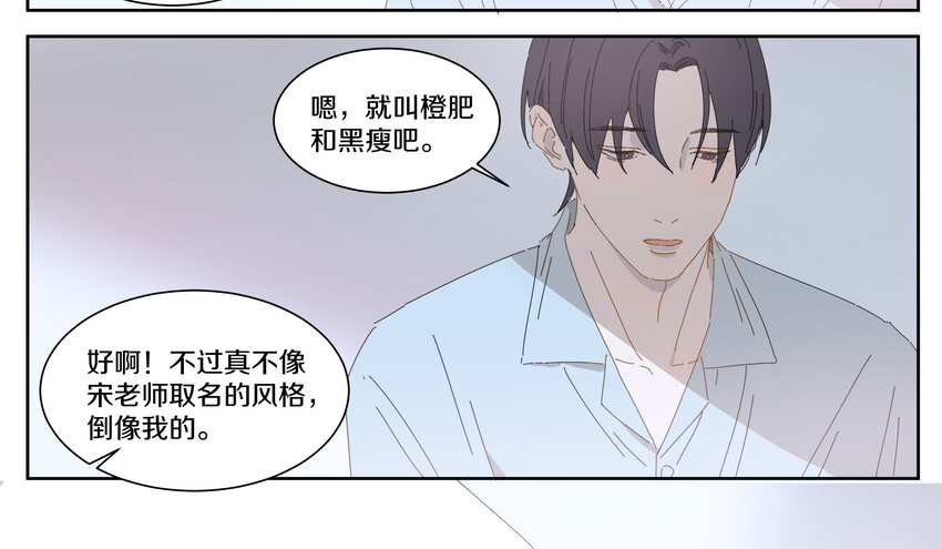 009 橙肥黑瘦49