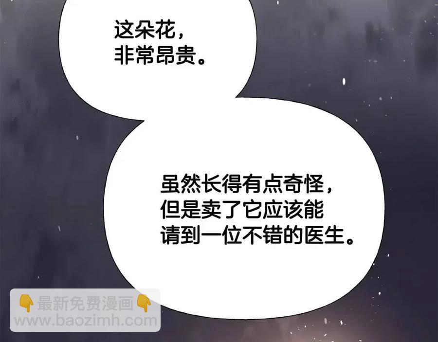 第37话 夜市219