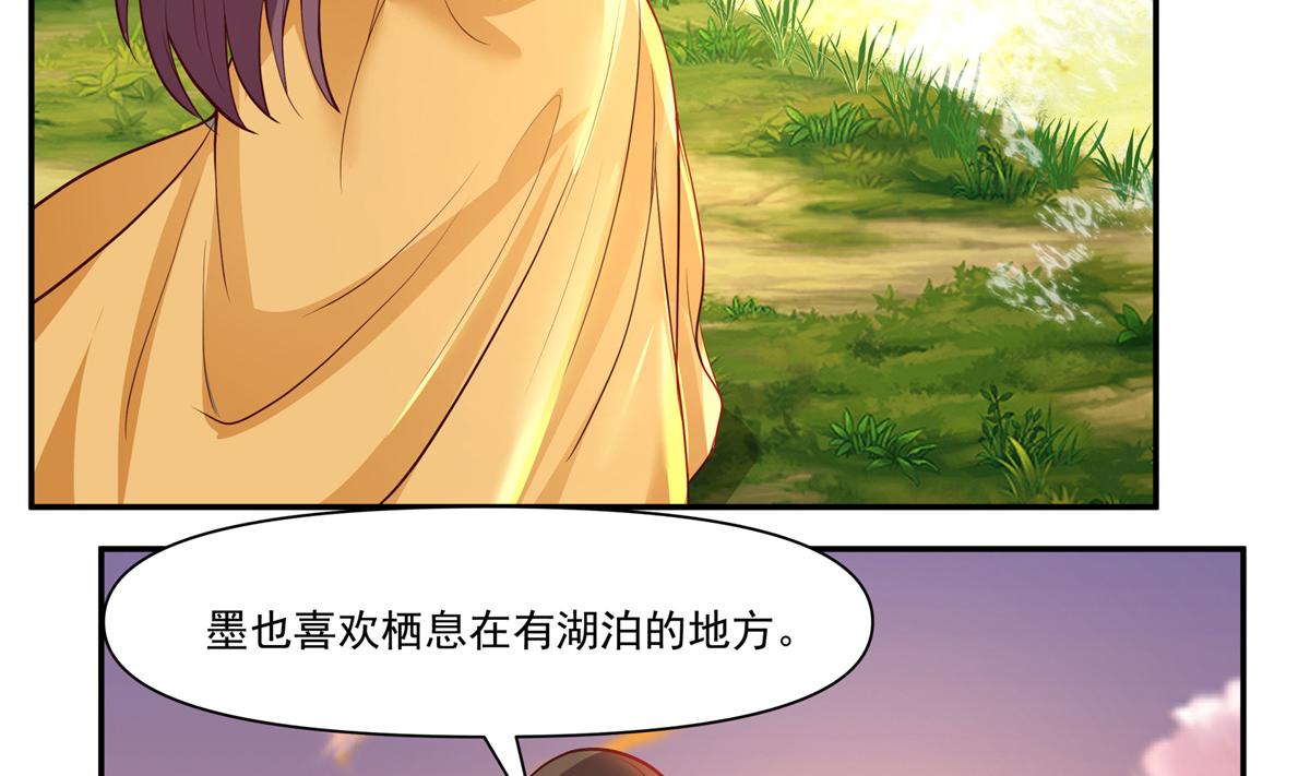74 森林湖39